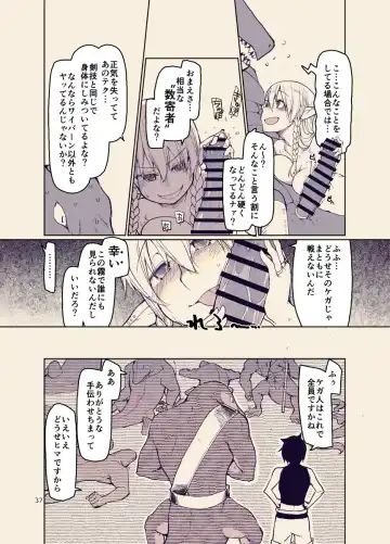 [Ryo] ドスケベエルフの異種姦日記12 Fhentai - Page 36