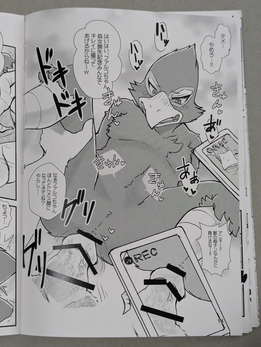 Starfox - Falco Osukemo Karakuri Fhentai - Page 13