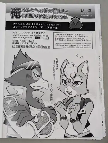 Starfox - Falco Osukemo Karakuri Fhentai - Page 17