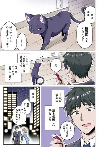 [Kotatsu - Yakitomato] Uchi no Yandere na Kaineko-chan ni Mechakucha ni Shiborarechau Hanashi  Full Color-ban Fhentai - Page 3