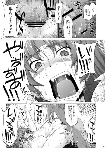 [Seura Isago] Risty-Rin ~Kanzenban~ Fhentai - Page 34