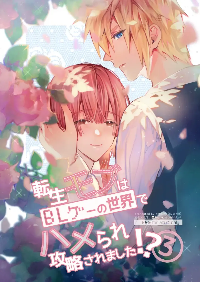 [Oova Akiru] Tensei Mob wa BL-gee no Sekai de Hamerare Kouryakusaremashita!? 3 | Sex with the Love Interest! But I'm an NPC! 3 Fhentai - Page 1