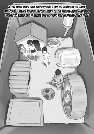 [Ruutyan] Couple no Suisou ni Iroiro na Osu o Irete Miyou Fhentai - Page 17