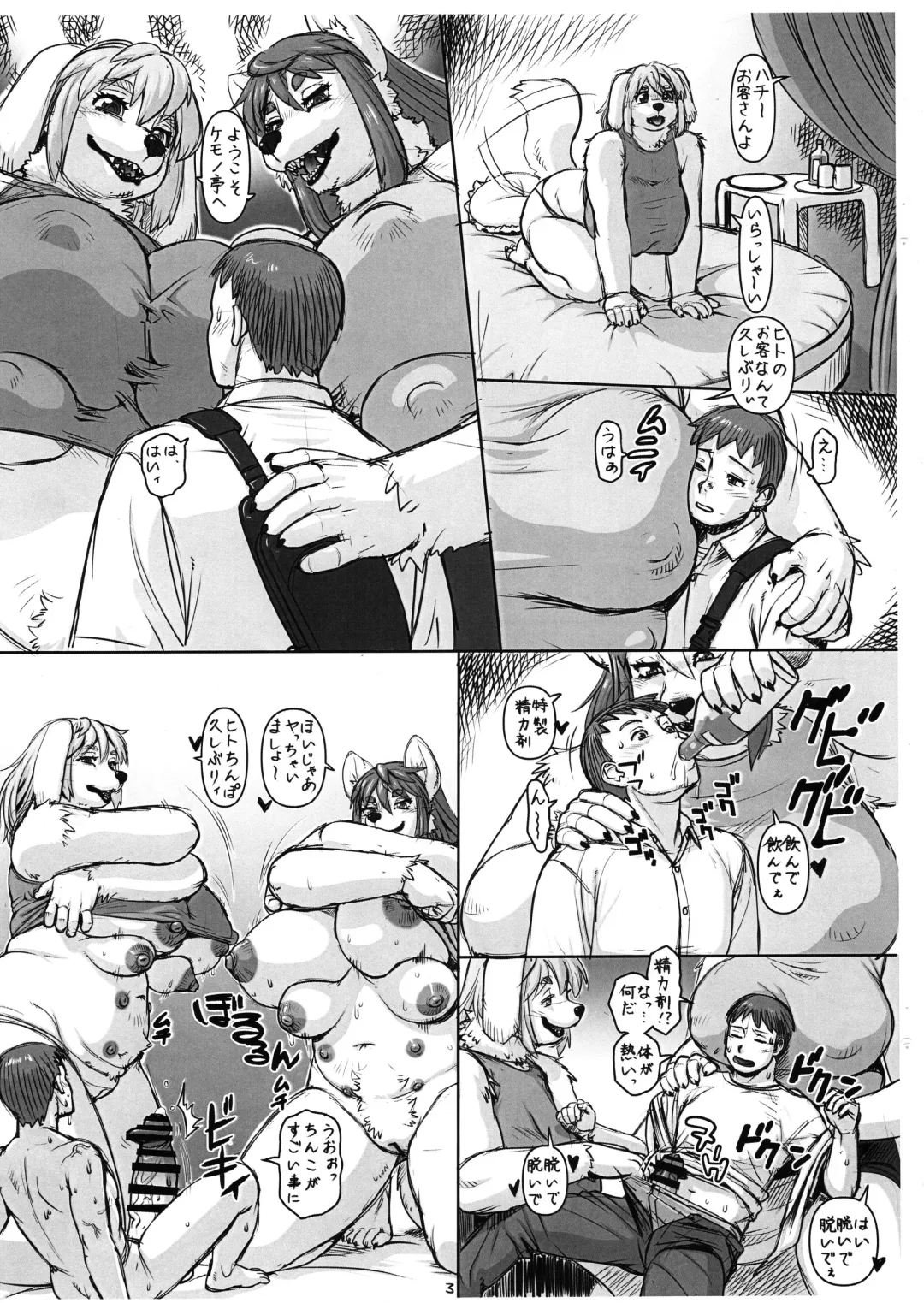 [Trump] Uraroji no Kemotei Fhentai - Page 3