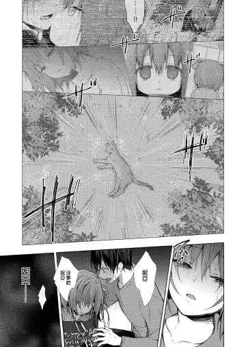 [Konomi] Nyancology 12 -Nekoda-san to Himitsu no Chikai- Bangaihen Douji Shuuroku "Succubus Nyan Nyan Niya-chan" Fhentai - Page 19