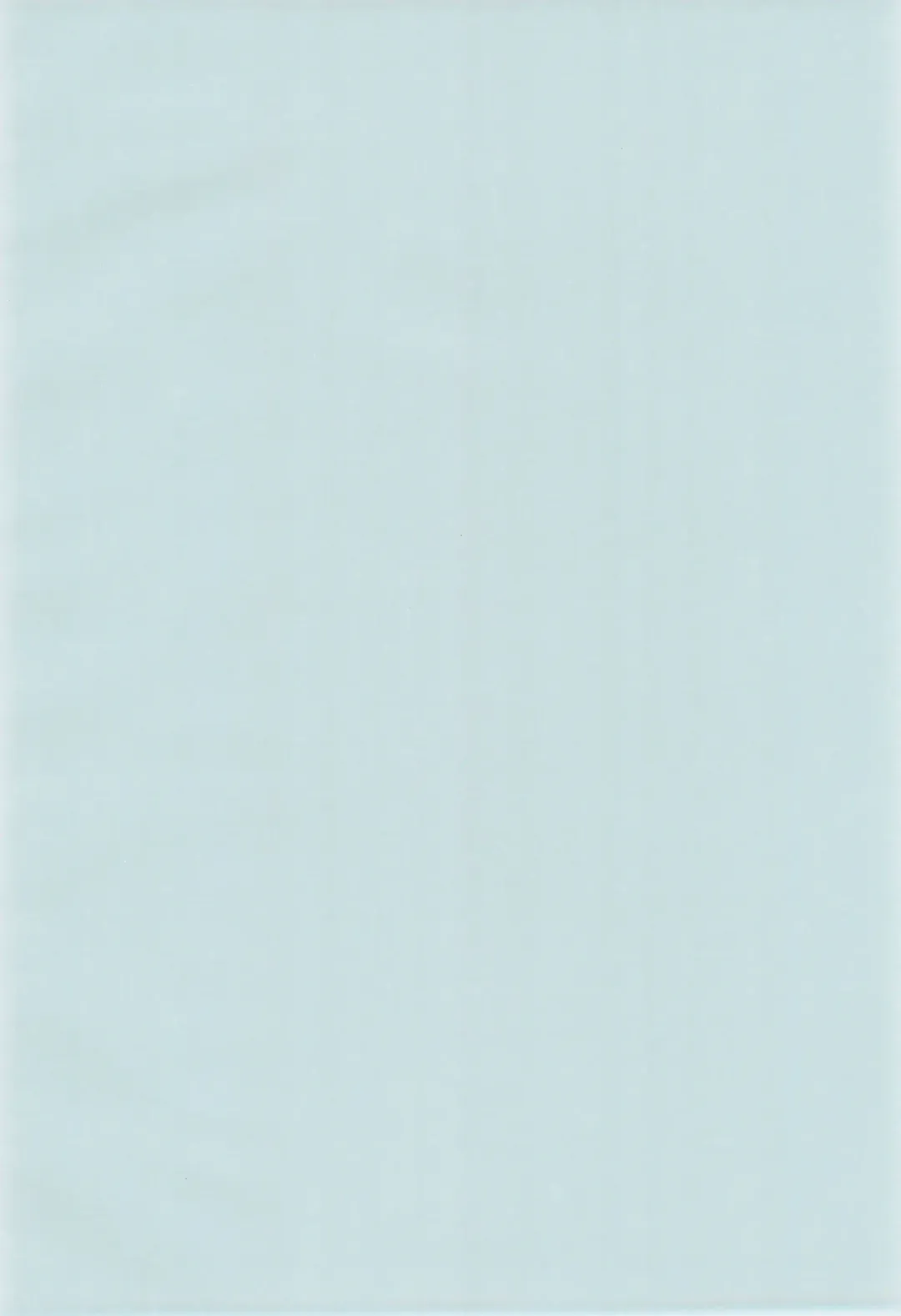 [Pikachi] Suhada Fhentai - Page 4