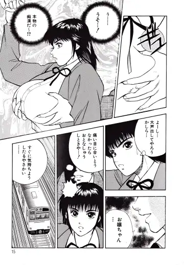 Kyonyuu Mansai Comic Fhentai - Page 15