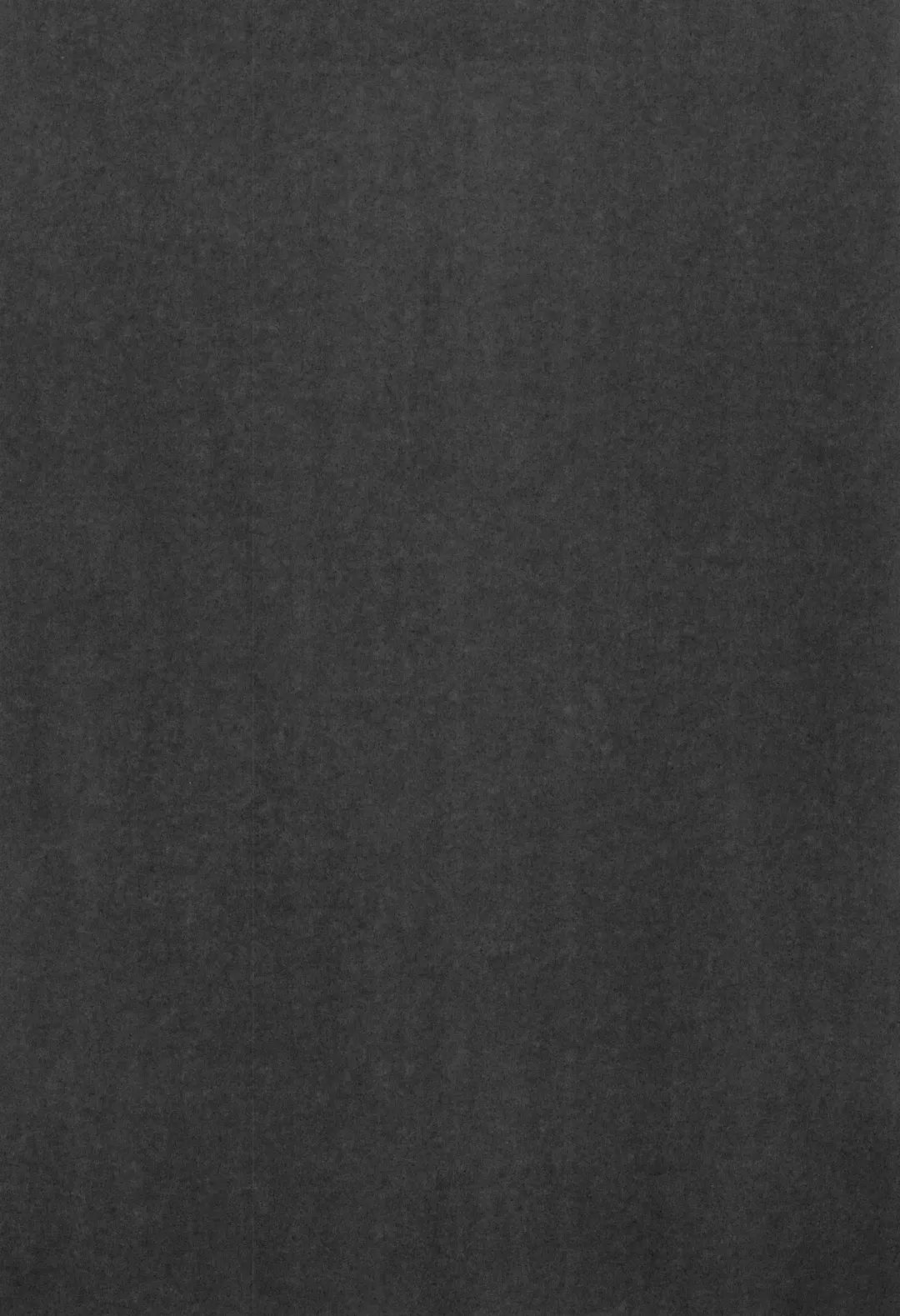 [Ter - Zuizui] TWIN MOON Fhentai - Page 38