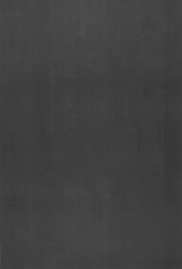 [Ter - Zuizui] TWIN MOON Fhentai - Page 37