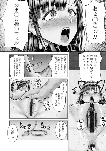[Iketatsu Shizuru] PUSSY SLAVE 〜Midarana Niku Dorei〜 Fhentai - Page 18