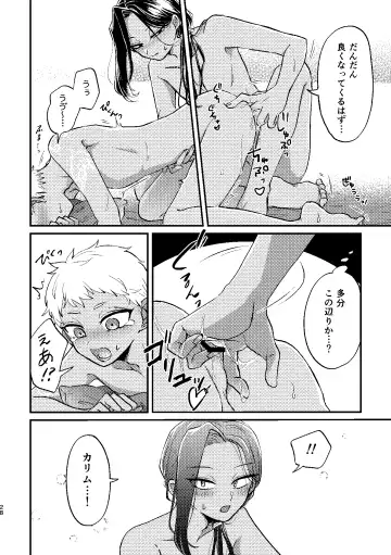 [Kashisaka Shisumeshi] Kouka ni wa  Kojinsa ga Arimasu. Fhentai - Page 27