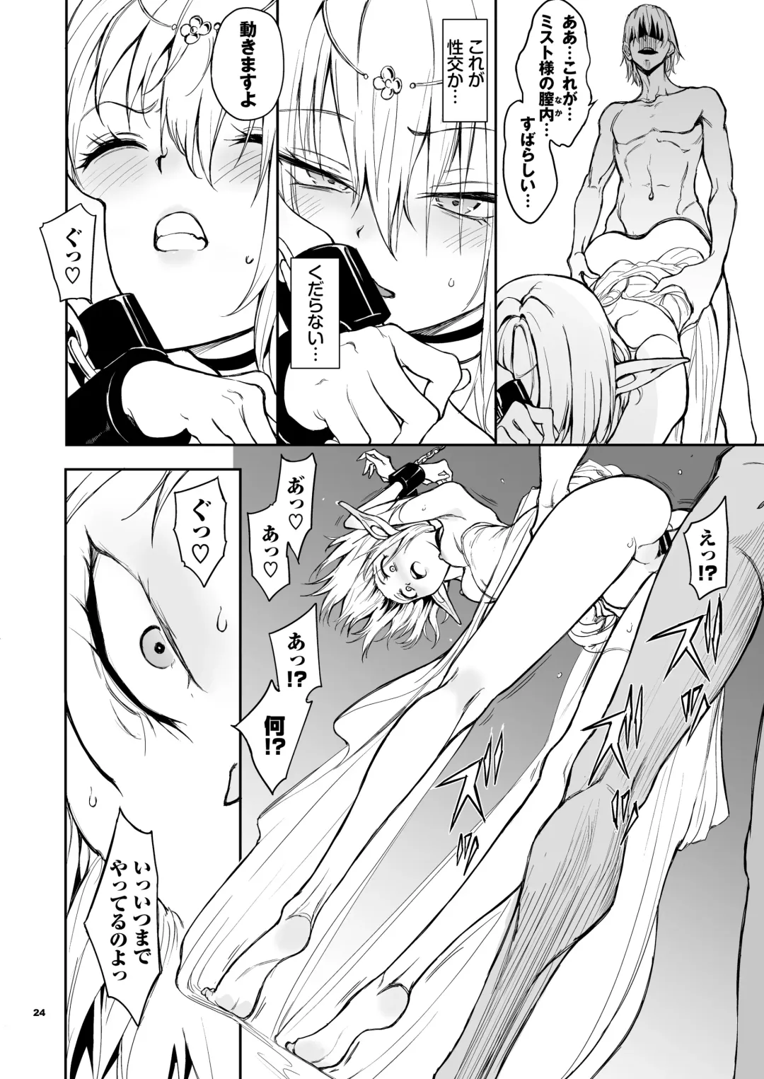 [Kyockcho] ELF Education. -Boukoku no Mist- Fhentai - Page 24