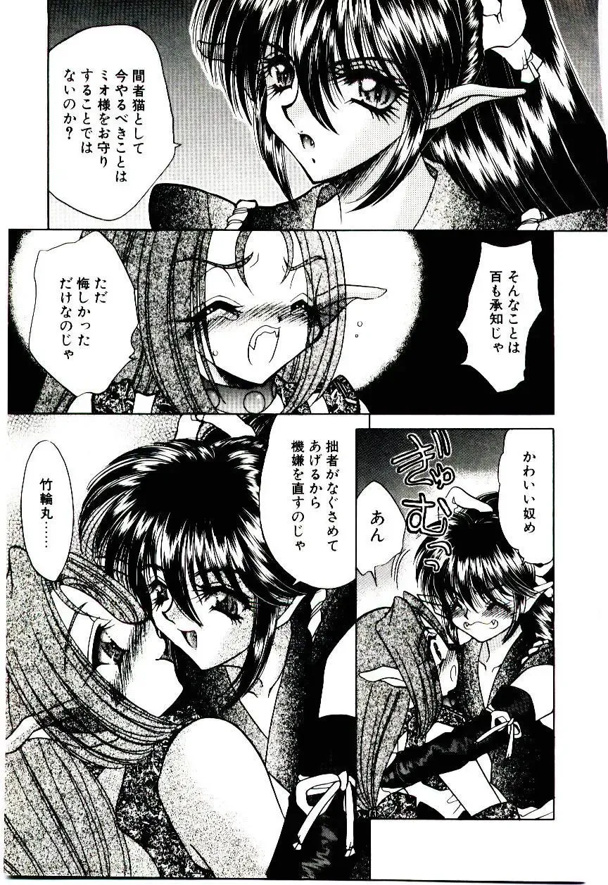 [Nekojima Lei] Matatabi Nin Houjou Fhentai - Page 172