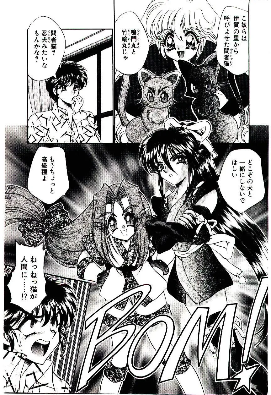 [Nekojima Lei] Matatabi Nin Houjou Fhentai - Page 48