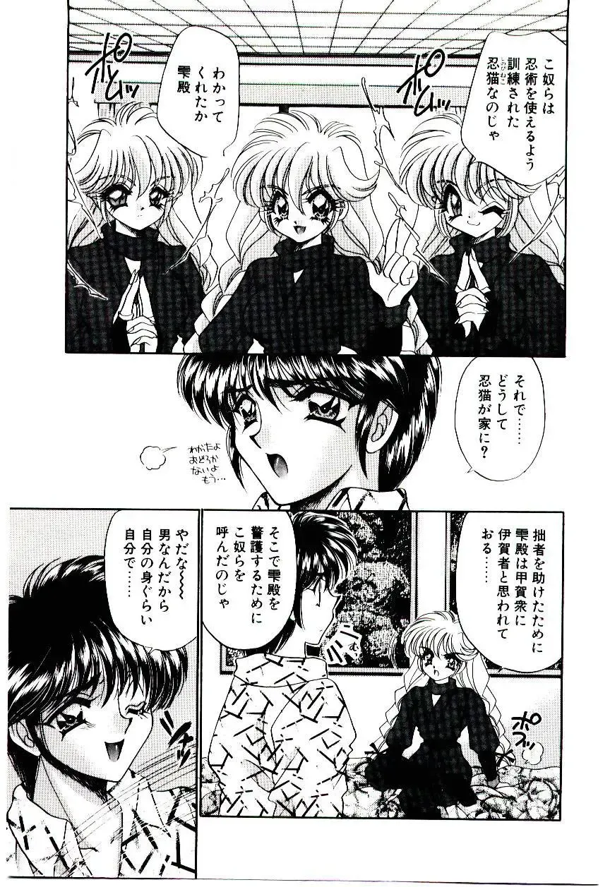 [Nekojima Lei] Matatabi Nin Houjou Fhentai - Page 50