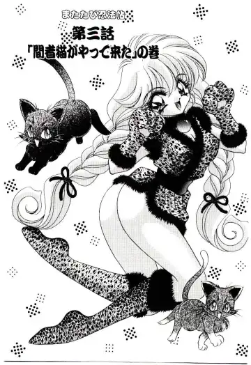 [Nekojima Lei] Matatabi Nin Houjou Fhentai - Page 42