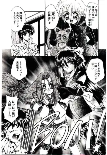 [Nekojima Lei] Matatabi Nin Houjou Fhentai - Page 48