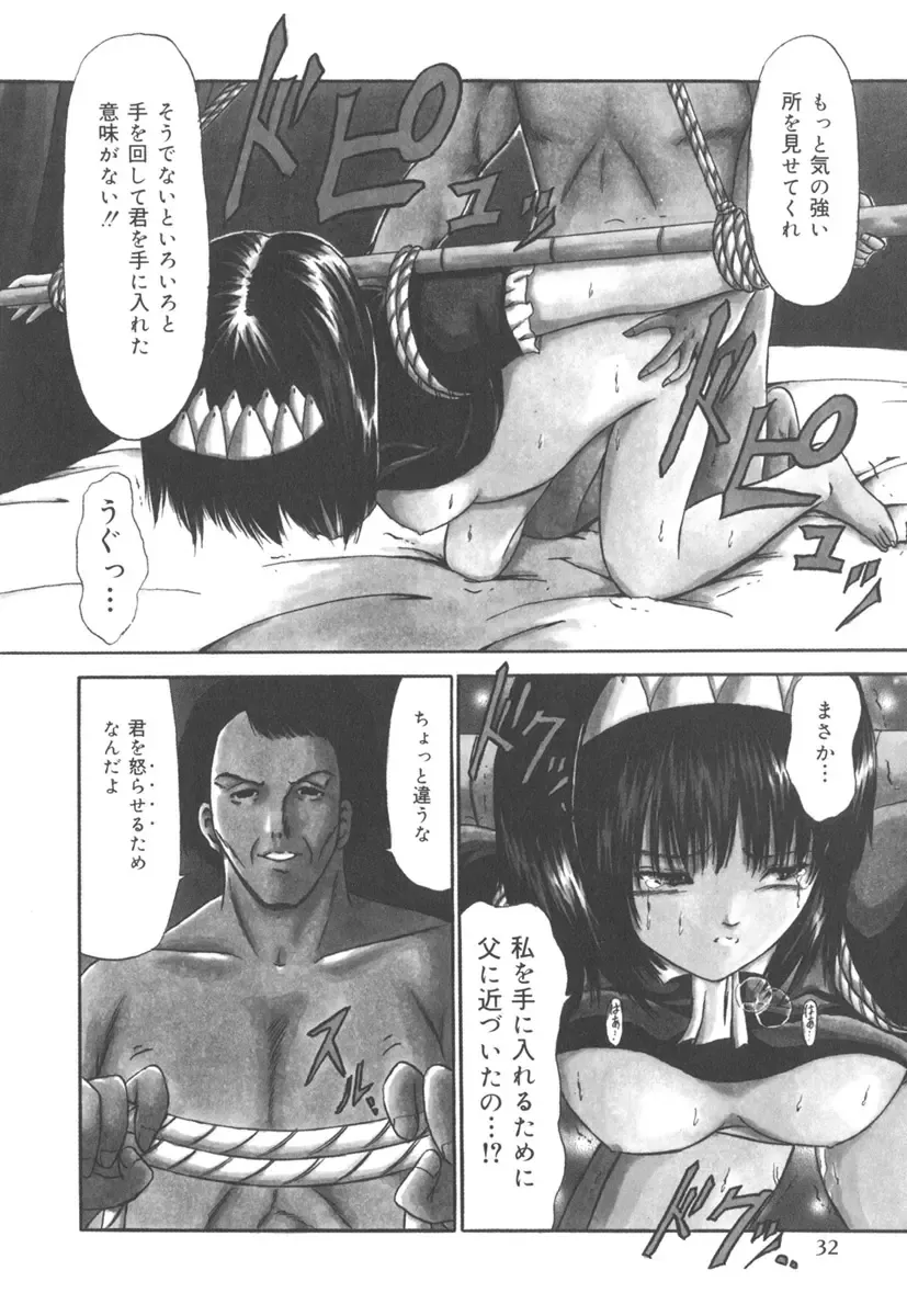 [Paint Robo] Jutai Shoujo Fhentai - Page 30