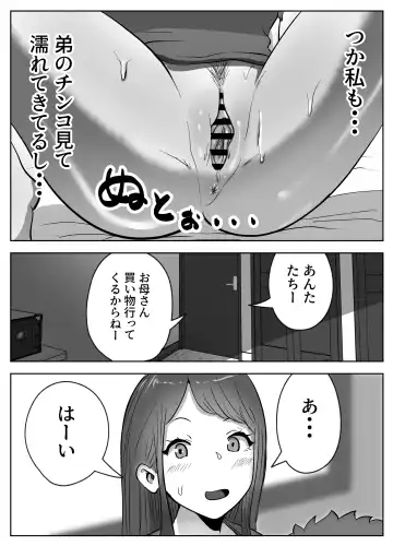 お姉ちゃんに子作りの仕方を教えてもらった Fhentai - Page 14