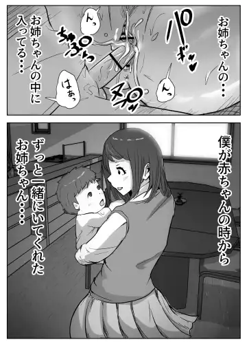 お姉ちゃんに子作りの仕方を教えてもらった Fhentai - Page 19