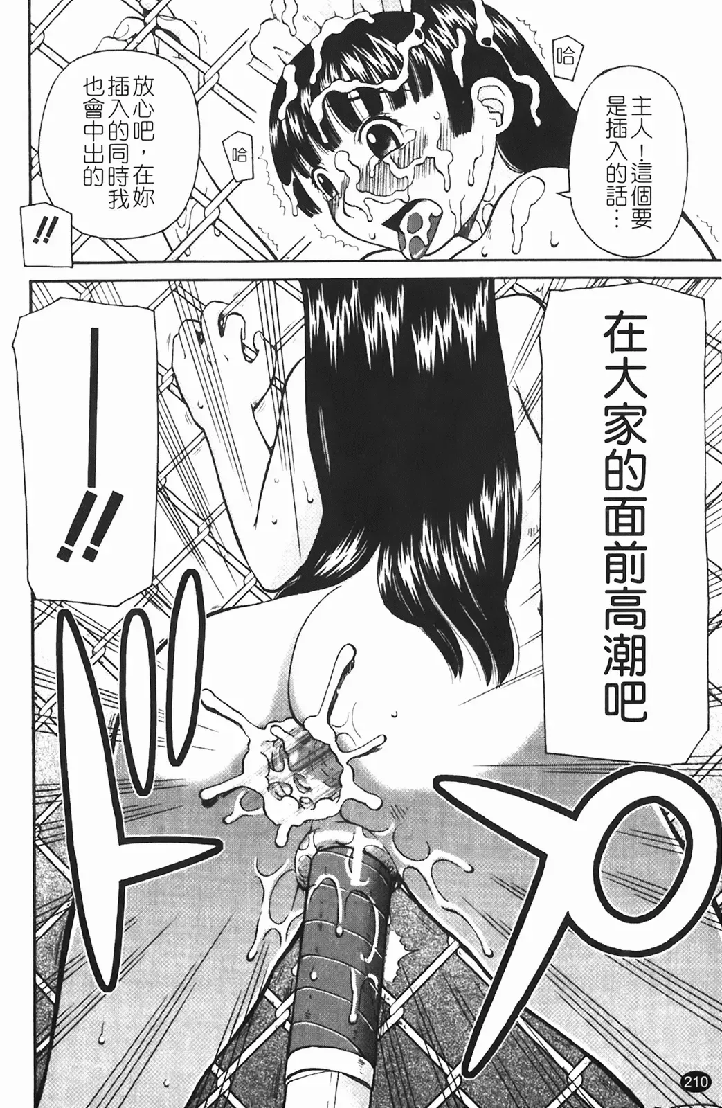 [Kiai Neko] Rosyutsu Ganbou Fhentai - Page 211