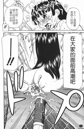 [Kiai Neko] Rosyutsu Ganbou Fhentai - Page 211