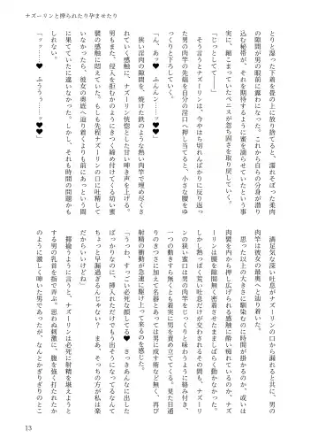 東方R-18小説本ナズーリン本 Fhentai - Page 12