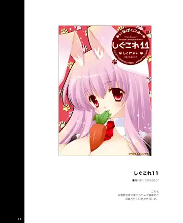 [Shigunyan] Touhou Shungi Fhentai - Page 98