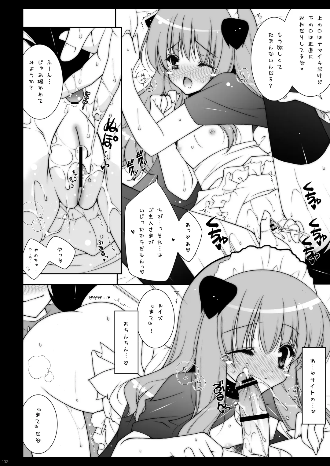 [Shigunyan] Zero no Tsukaima Soushuuhen Fhentai - Page 102