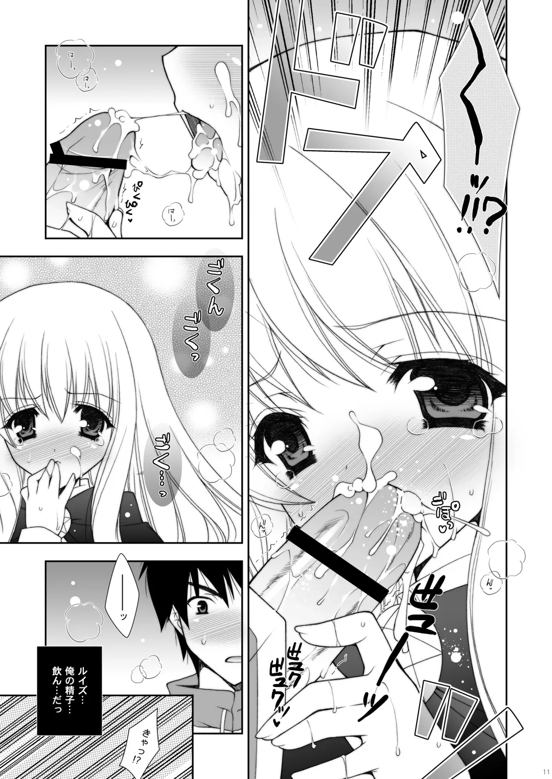 [Shigunyan] Zero no Tsukaima Soushuuhen Fhentai - Page 11