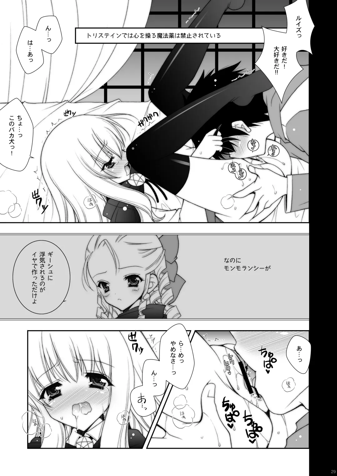 [Shigunyan] Zero no Tsukaima Soushuuhen Fhentai - Page 29