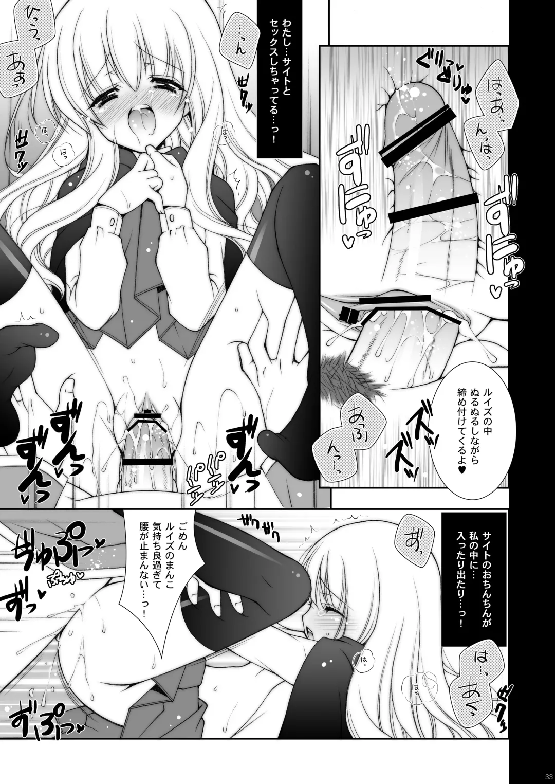 [Shigunyan] Zero no Tsukaima Soushuuhen Fhentai - Page 33