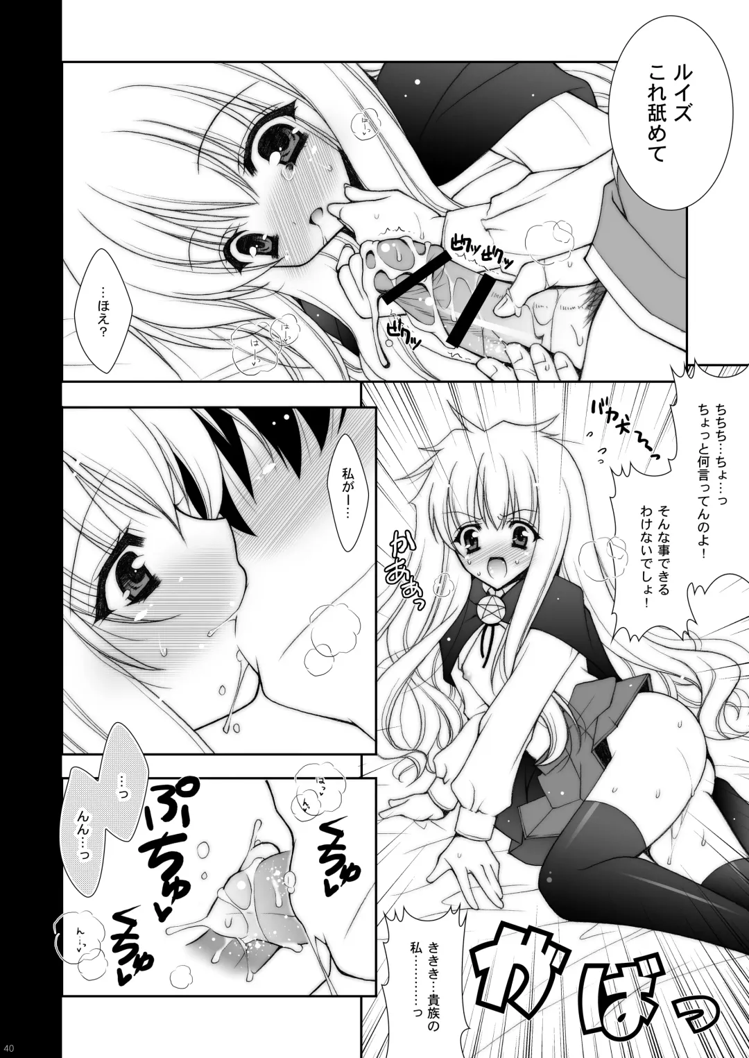 [Shigunyan] Zero no Tsukaima Soushuuhen Fhentai - Page 40
