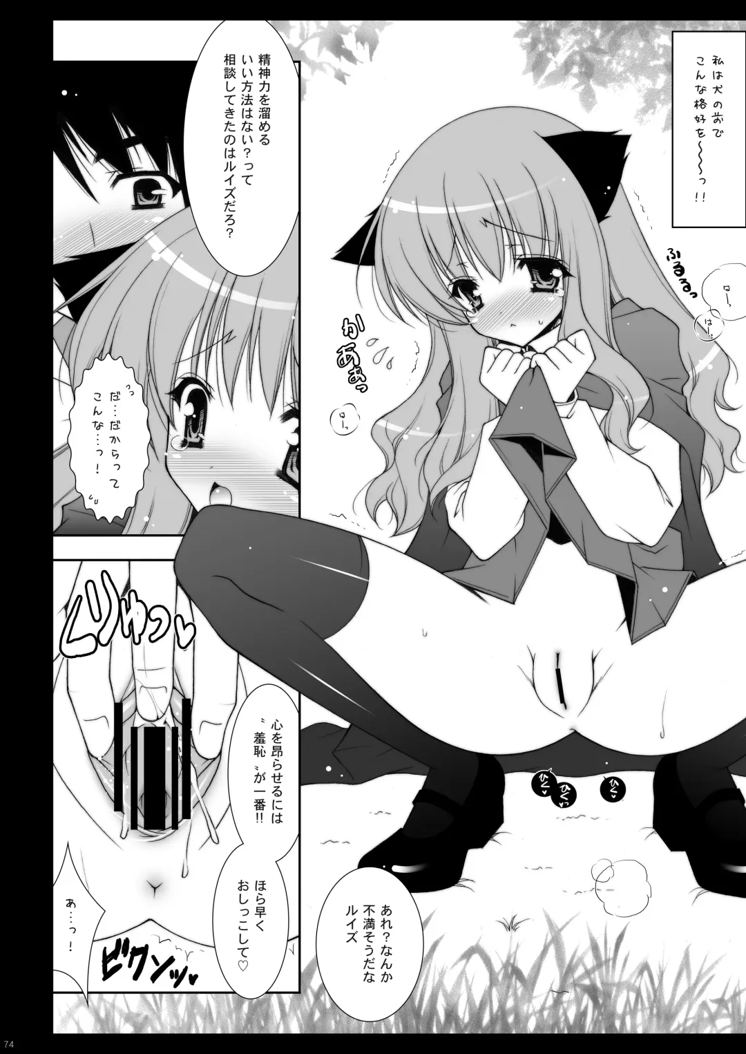 [Shigunyan] Zero no Tsukaima Soushuuhen Fhentai - Page 74