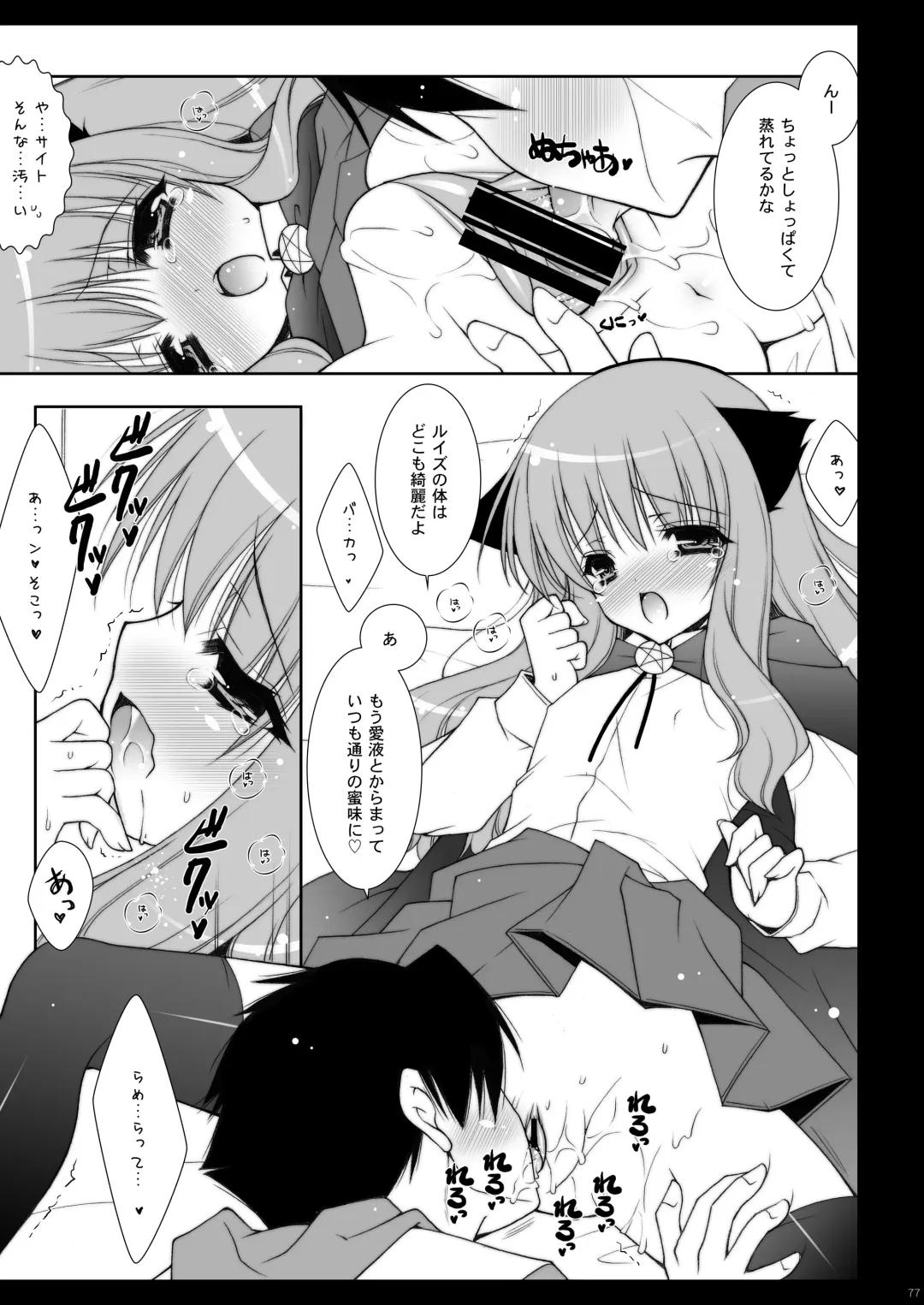 [Shigunyan] Zero no Tsukaima Soushuuhen Fhentai - Page 77