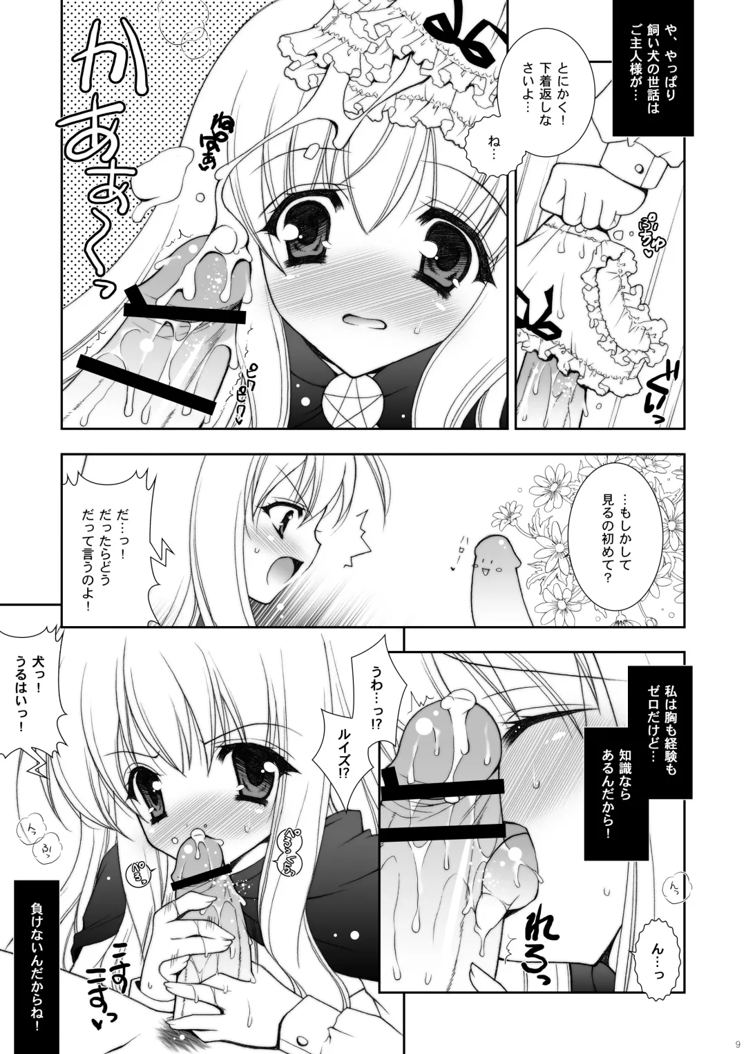 [Shigunyan] Zero no Tsukaima Soushuuhen Fhentai - Page 9