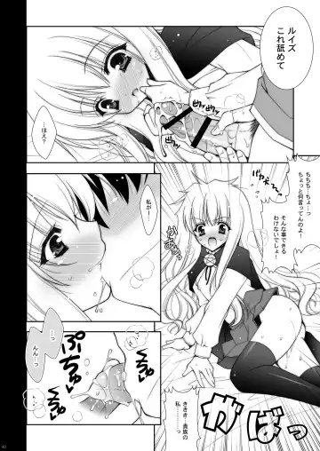 [Shigunyan] Zero no Tsukaima Soushuuhen Fhentai - Page 40