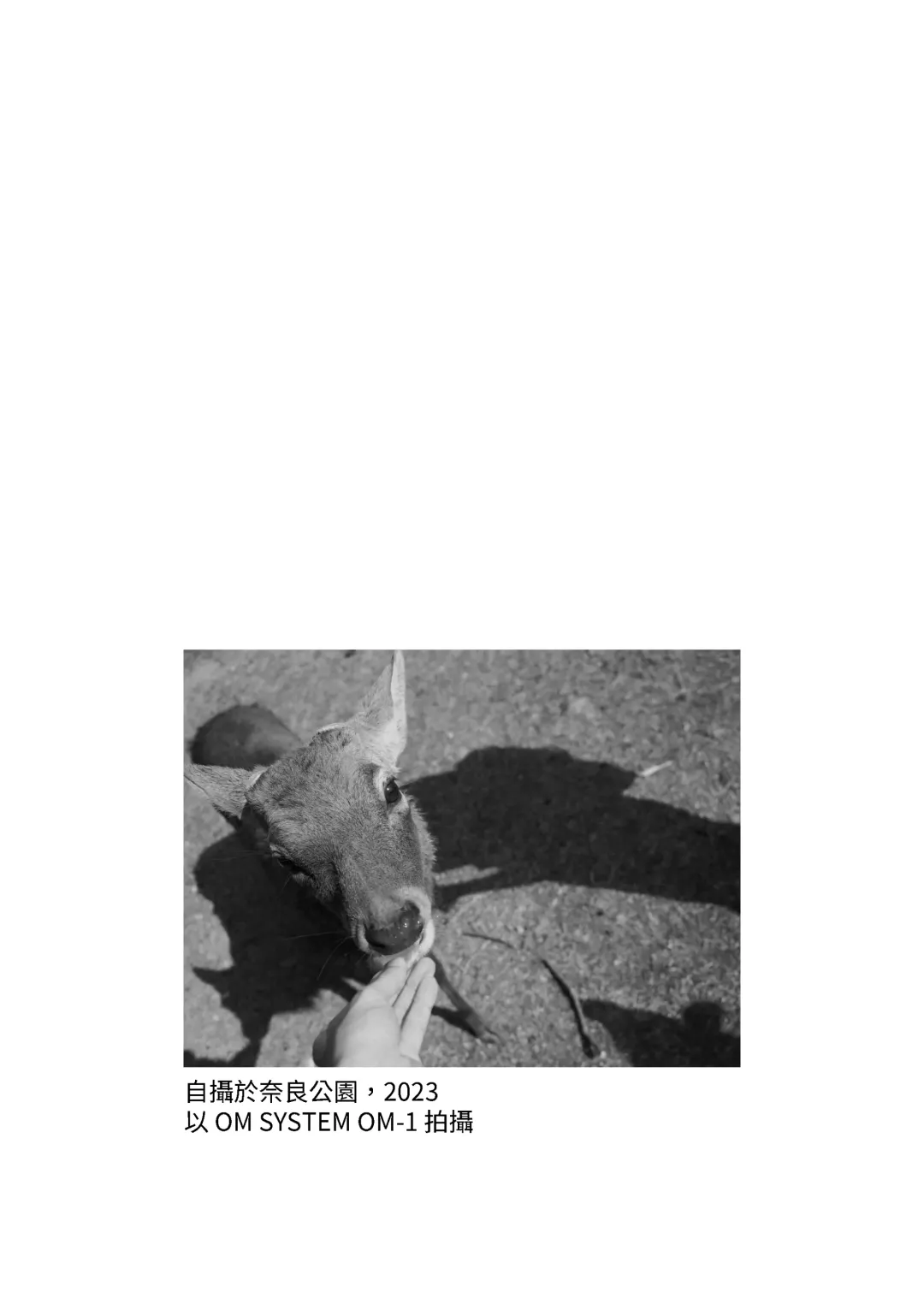 [Kazma] Shikanoko Shikoshiko Ude Panpan Fhentai - Page 17