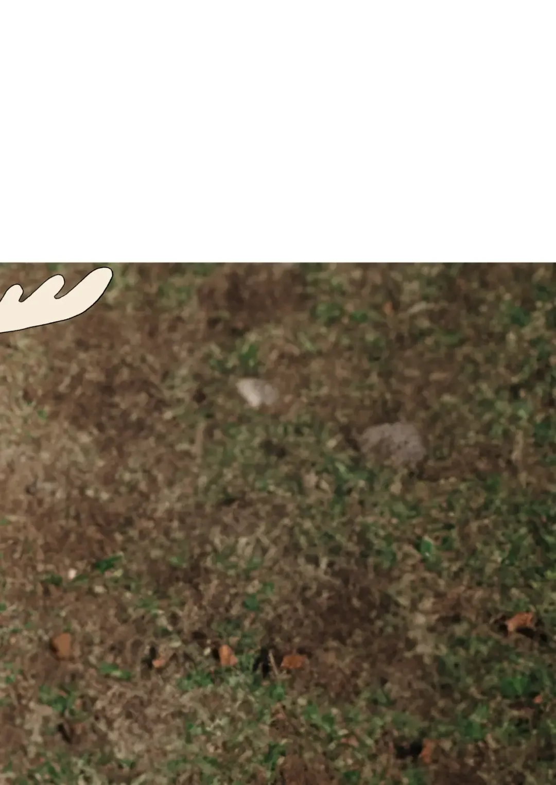 [Kazma] Shikanoko Shikoshiko Ude Panpan Fhentai - Page 20