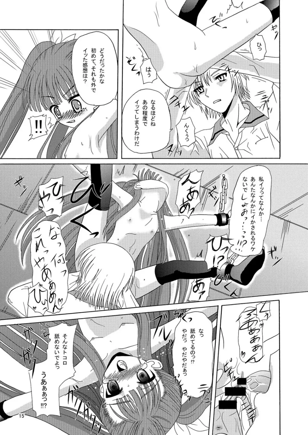 [Kugami Angning] ARCANUMS Anya Soushuuhen Fhentai - Page 15