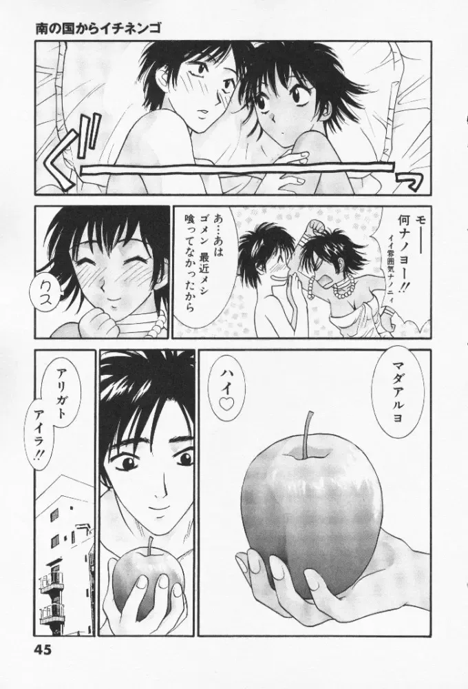 [Uchino Bungo] Minami no Kuni Kara Konnichiwa Fhentai - Page 46