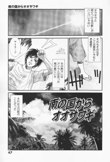 [Uchino Bungo] Minami no Kuni Kara Konnichiwa Fhentai - Page 48