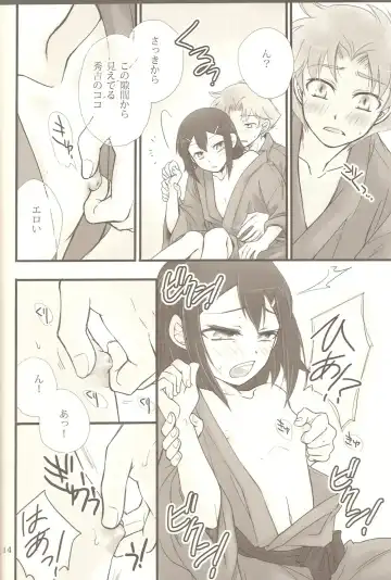 [Soraho] Hideyoshi Plus + BakaEro 4 Fhentai - Page 13
