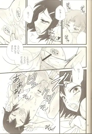 [Soraho] Hideyoshi Plus + BakaEro 4 Fhentai - Page 24