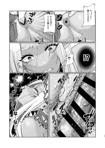 Dark Elf wa Aragaenai Fhentai - Page 23