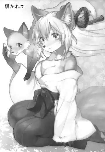 [Kiichi] Koganegitsune no Gojitsutan Fhentai - Page 21