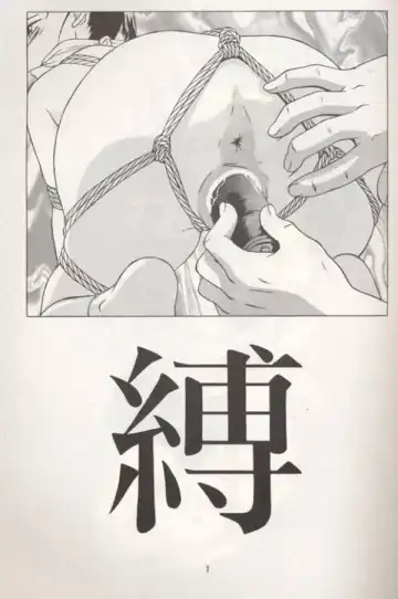 [Hayashibara Hikari] Ba - Ku Fhentai - Page 2