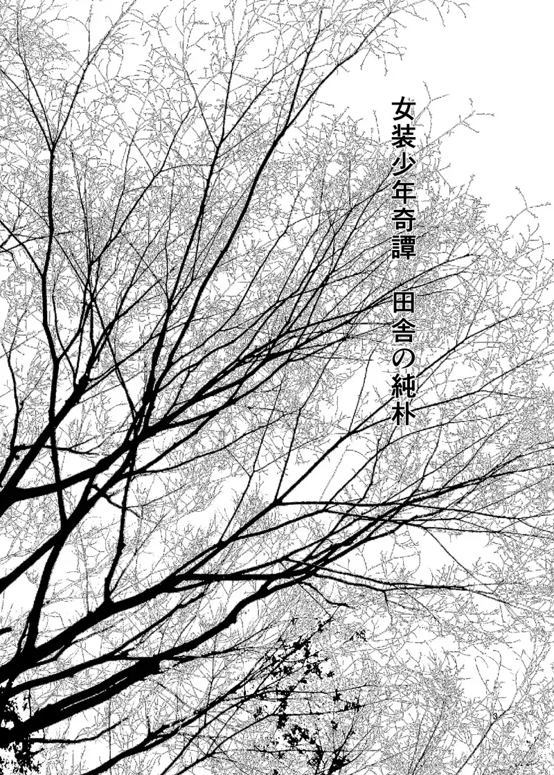 [Daichi] Josou Shounen Kitan Inaka no Junboku Fhentai - Page 2