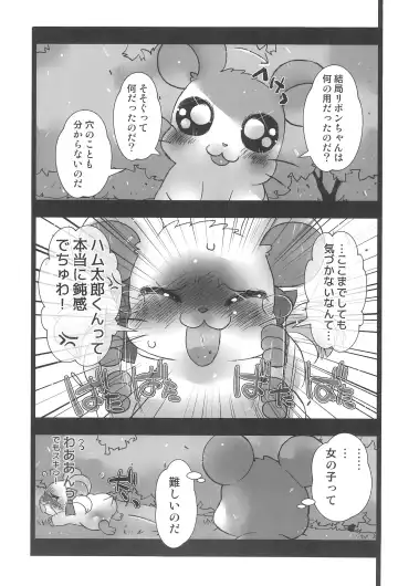 [Sugai] Seiken Excalibur Fhentai - Page 13