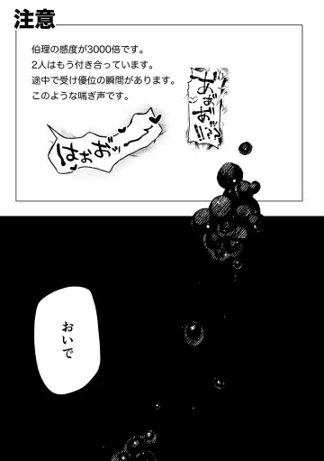 [Nopo] Platinum Fhentai - Page 2